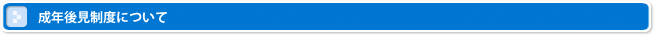 成年後見制度について
